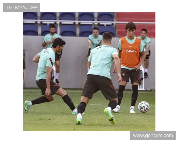 杭州足球队逆袭之路欧锦赛特别报道展现拼搏精神与团队力量 杭州足球队逆袭之路欧锦赛特别报道展现拼搏精神与团队力量