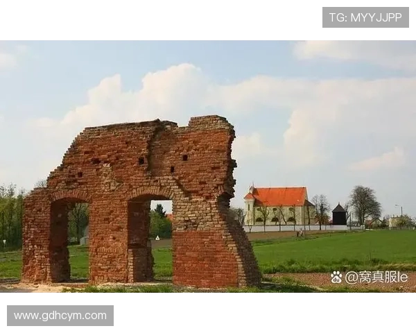 乌栖沙岩与大阪的文化碰撞与历史交融探讨