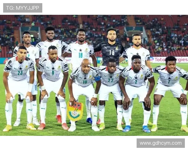 德国世界杯经典对决回顾加纳队的奋战与传奇时刻