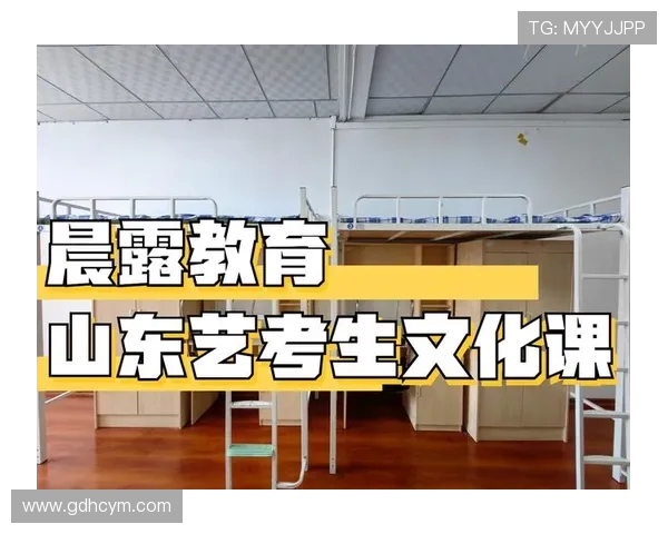 飞盘新手必看:提升心理素质的实用技巧与策略分享 飞盘新手必看:提升心理素质的实用技巧与策略分享