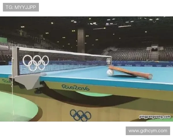 乒乓球深度解析:杭州乒乓球队运营模式与发展策略全景揭秘 乒乓球深度解析:杭州乒乓球队运营模式与发展策略全景揭秘