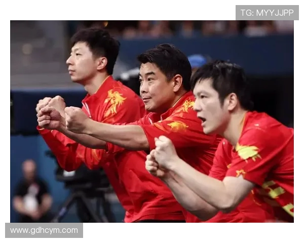 南京乒乓球队在奥运会上的团队协作表现值得称赞与反思 南京乒乓球队在奥运会上的团队协作表现值得称赞与反思